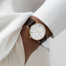 NOMOS Glashütte Ludwig Gold 33 - Bild 7