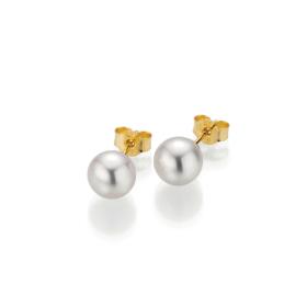 Gelbgold, Ohrringe, Gellner BASICS Ohrstecker 5-22551-03