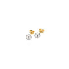 Gelbgold, Ohrringe, Gellner BASICS Ohrstecker 5-22549-03