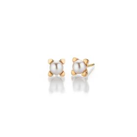 Roségold, Ohrringe, Gellner Delight Ohrstecker  5-24453-02