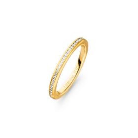 Gelbgold, Ringe, Henrich & Denzel Vorsteckring. Edler Begleiter Gb002.05000