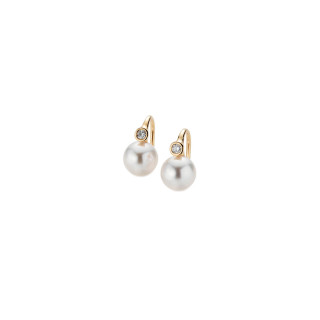 Gelbgold, Ohrringe, Gellner H2O Ohrhaken, Ref: 5-22024-03