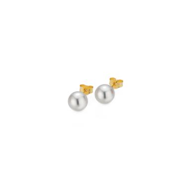 Ohrringe, Gelbgold, Gellner BASICS Ohrstecker