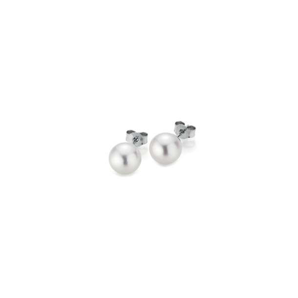         Weißgold, Ohrringe, Gellner Basics Ohrstecker