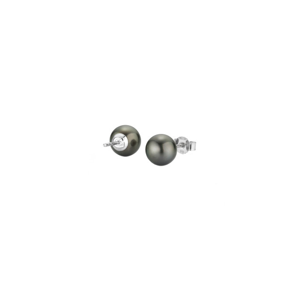         Weißgold, Ohrringe, Gellner Basics Ohrstecker